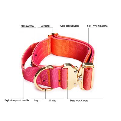 Collares gruesos para perros