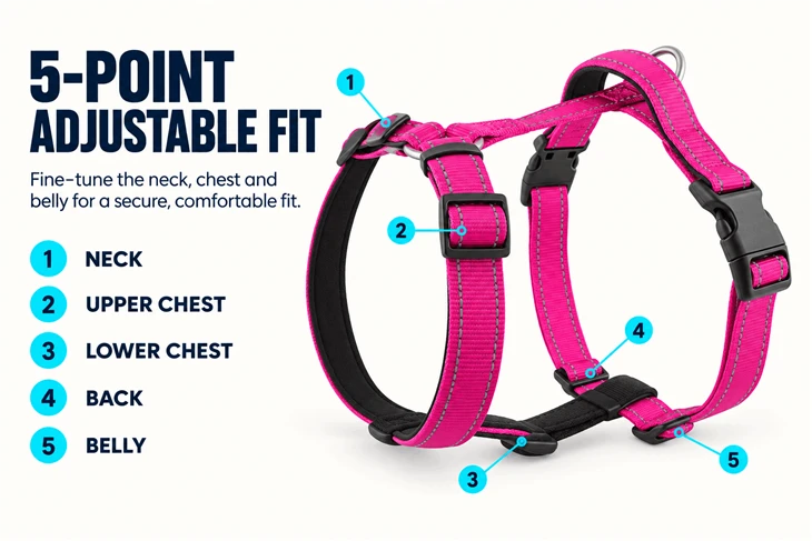 Five-point Dog Harness suppliers
