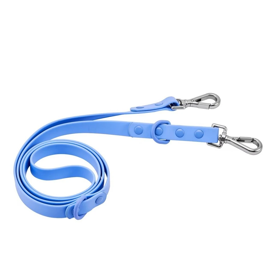 Personalized Dog Leash best