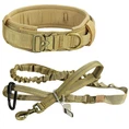 Conjunto de collar para perros K9