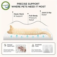 Orthopedic Dog Bed Orthopedic Dog Bed